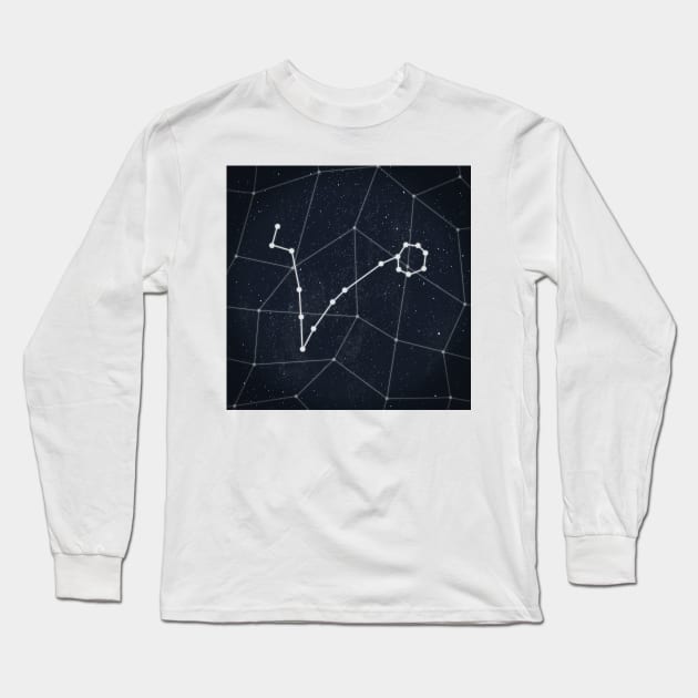 Pisces Constellation Long Sleeve T-Shirt by RAADesigns
